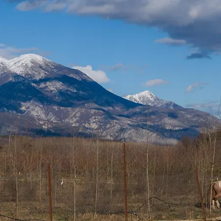 شقة Dimitra 's House *