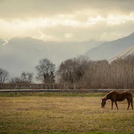 Dimitra 's House Apartament *