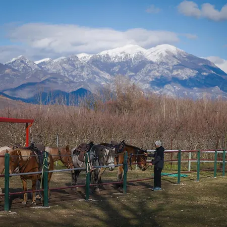 Dimitra 's House شقة *