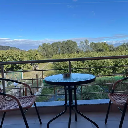 Dimitra 's House Apartament *