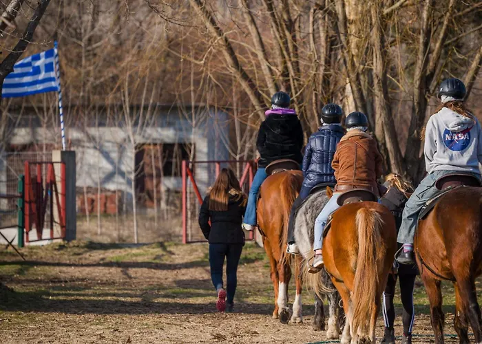 Dimitra 's House Aridaía