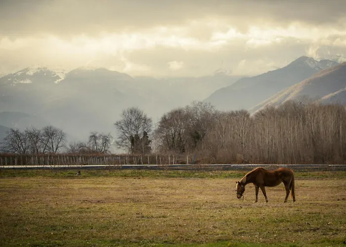 Dimitra 's House Apartamento *